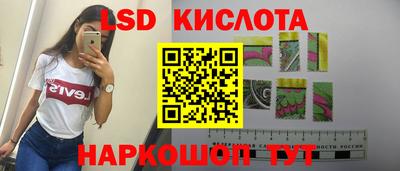 дмт Донской