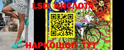 дмт Донской