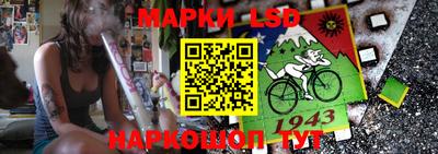 шишки Донецк