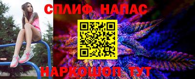 дмт Донской