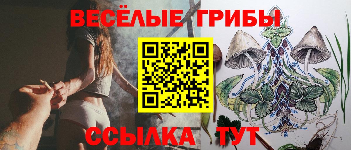 Псилоцибиновые грибы MAGIC MUSHROOMS Геленджик