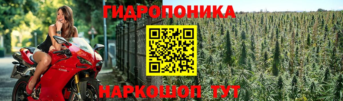 Геленджик  Каннабис VHQ  Шишки марихуана SATIVA & INDICA  Вход с VPN 